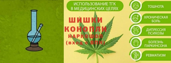 стафф Няндома